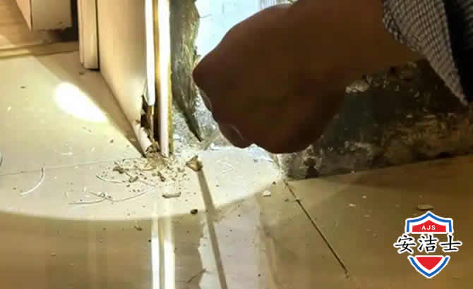 天涯区房屋建筑防治白蚁