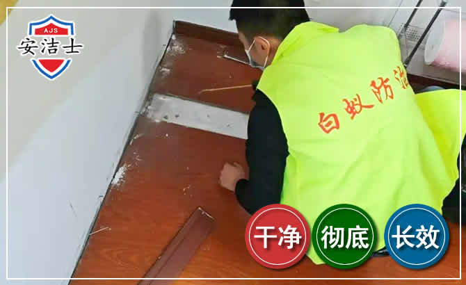 天涯区除四害现场